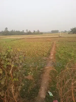 Sale of five and a half gonda land.