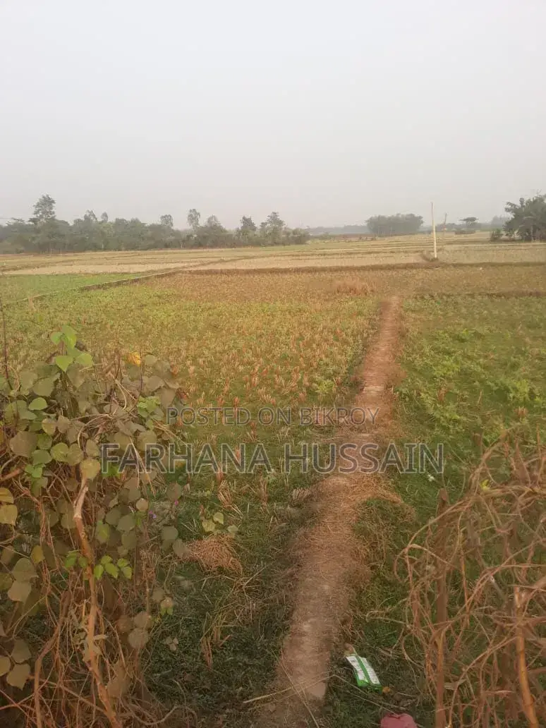 Sale of five and a half gonda land.