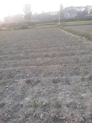 Sale of five and a half gonda land.