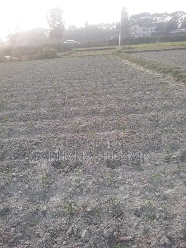 Sale of five and a half gonda land.
