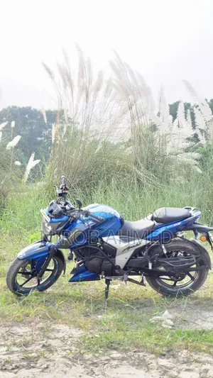 TVS Apache RTR 160 4V 2019 Blue