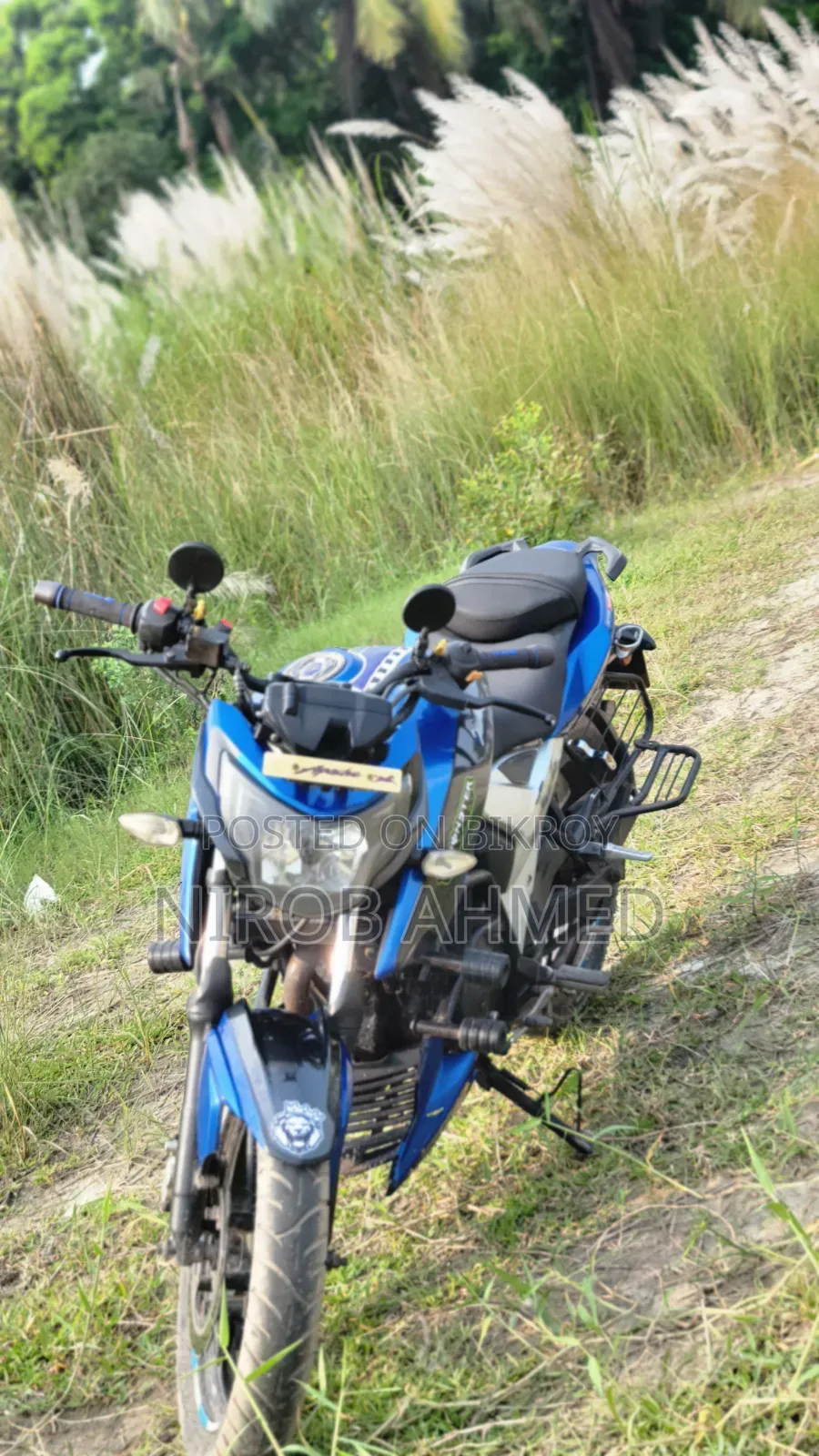 TVS Apache RTR 160 4V 2019 Blue