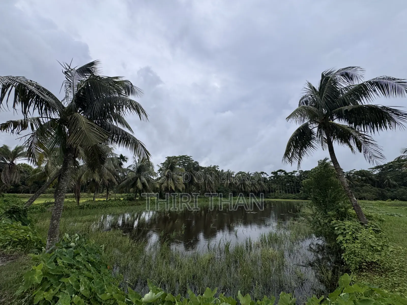 Agro Farm for Sale