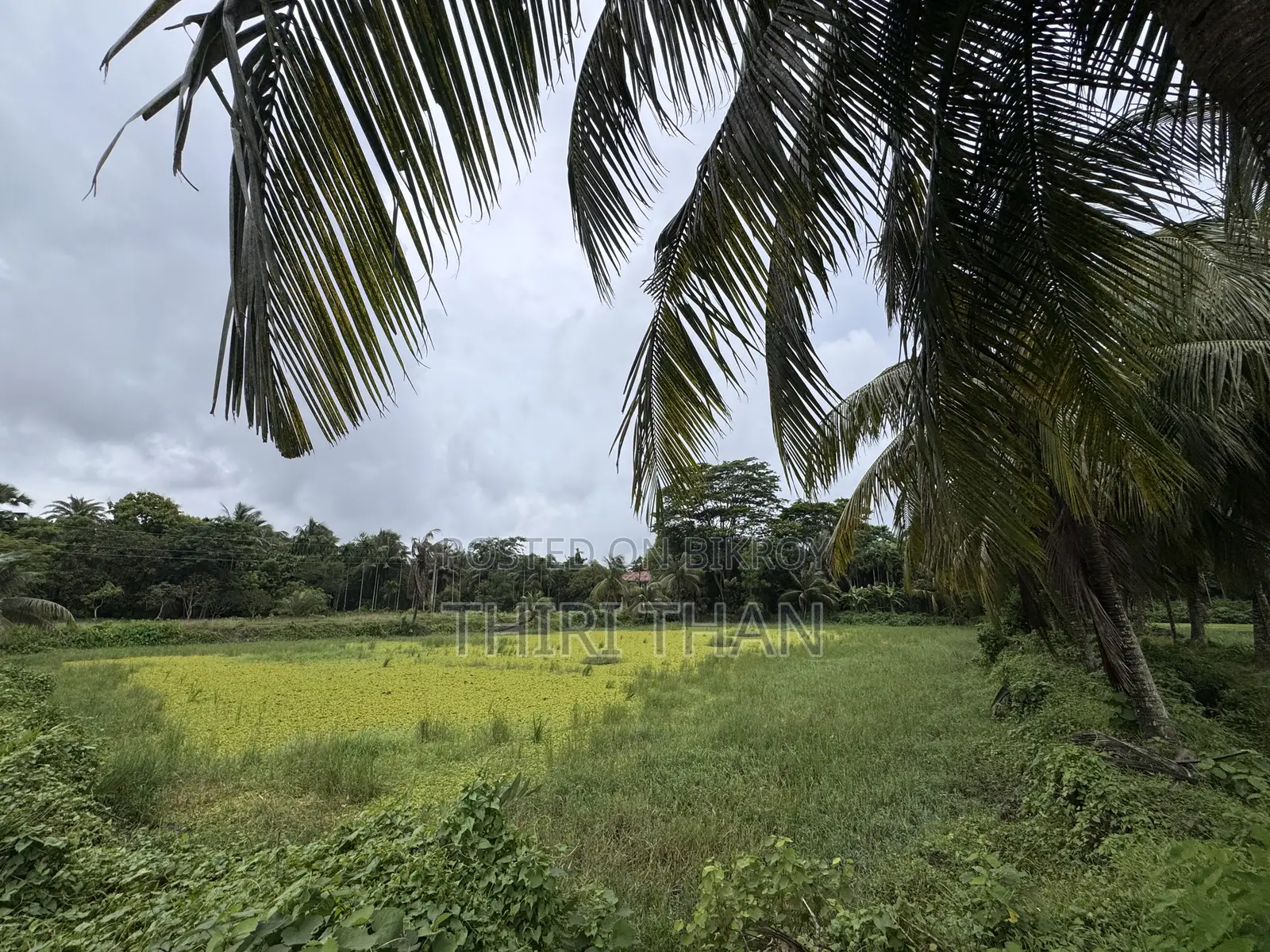 Agro Farm for Sale