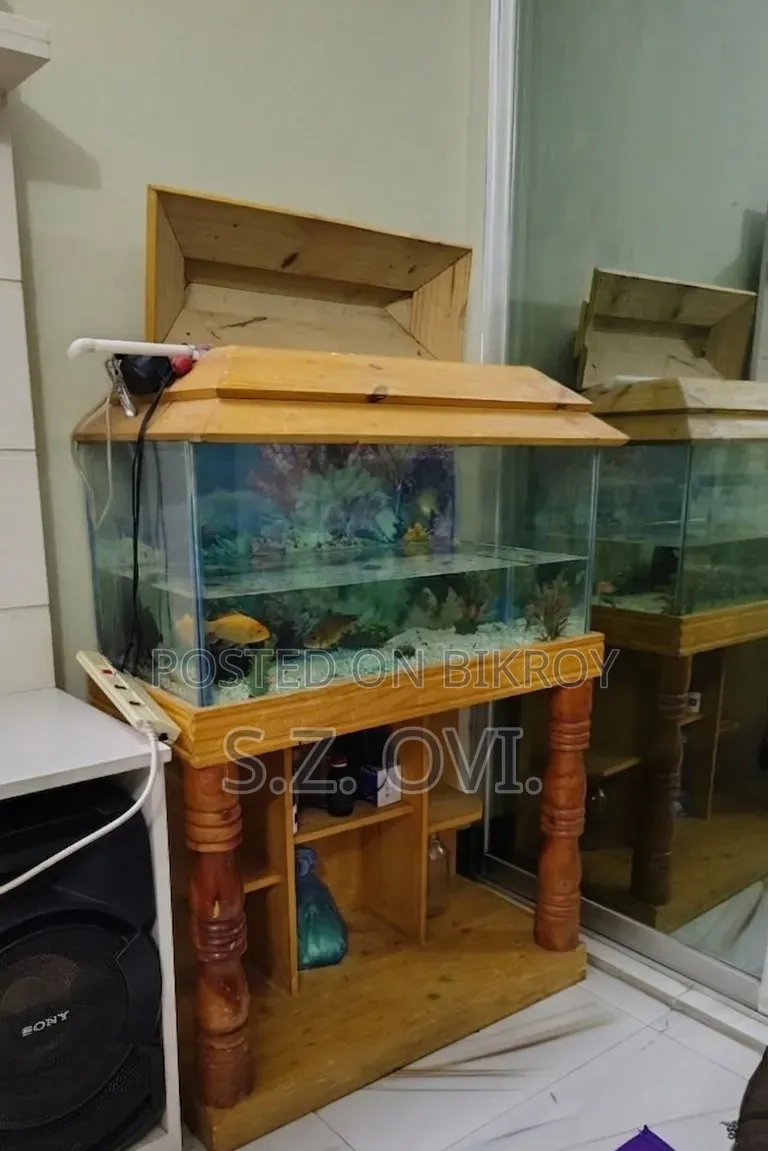 Aquarium Giant Fish Tank. Full Set.