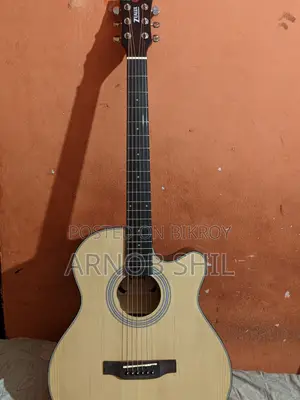 জরুরি বিক্রি – জিউলাক্স জেডএ-৮১সি কাটওয়ে অ্যাকোস্টিক গিটার প্রিয় গিটার