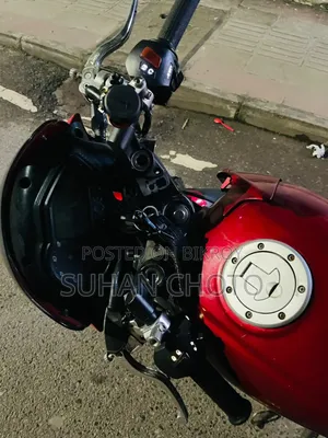 Pegasus Evo 150R 2014 Red