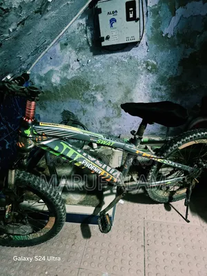 Phoenix SWAT Cycle (20 Inch)