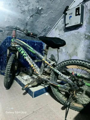 Phoenix SWAT Cycle (20 Inch)