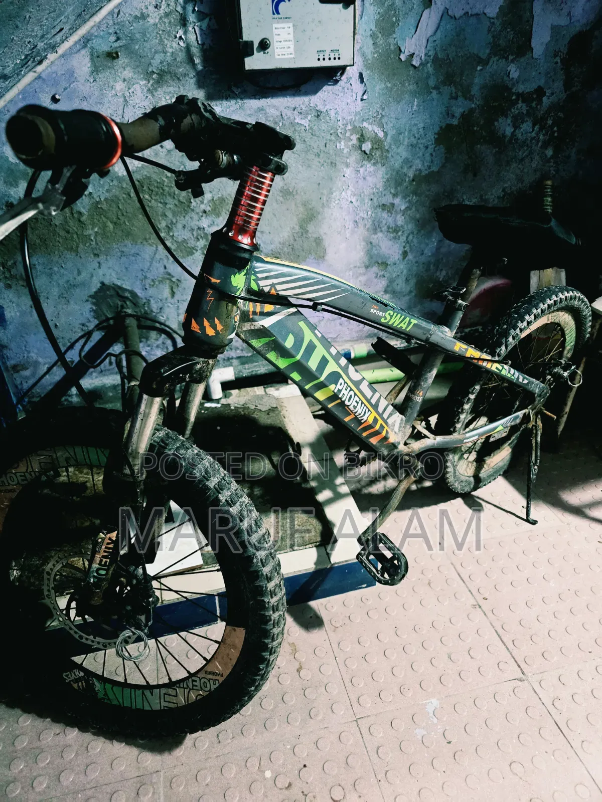 Phoenix SWAT Cycle (20 Inch)