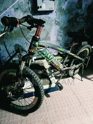 Phoenix SWAT Cycle (20 Inch)