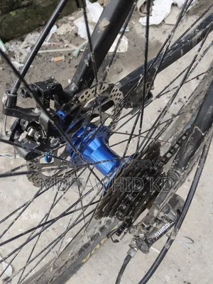 Cycle for Sale. Cycle Model Phoenix