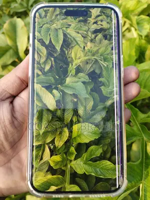 Apple iPhone 14 Pro Max 256 GB Purple