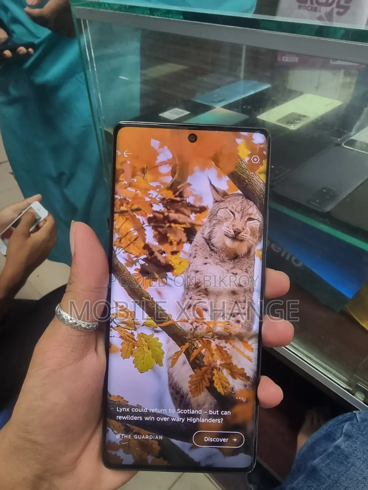 ইনফিনিক্স হট ৫০ প্রো+ ৪জি ২৫৬ জিবি ব্রোঞ্জ