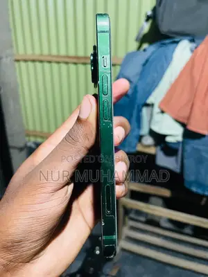 অ্যাপল আইফোন ১৩ ২৫৬ জিবি গ্রিন
