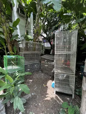 Old Cage for Sale