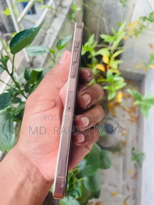 Apple iPhone 16 Pro Max 256 GB Rose Gold