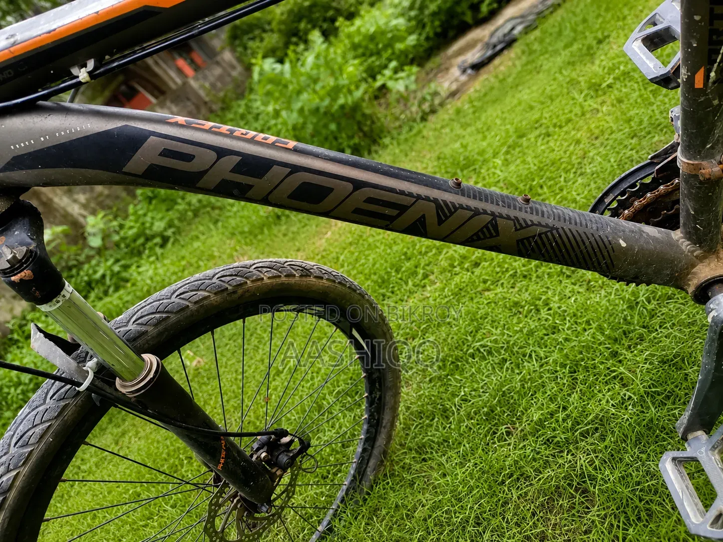 Phoenix X100 Mountain Bike | Good Condition
