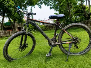 Phoenix X100 Mountain Bike | Good Condition