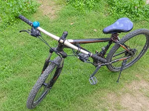 Phoenix X100 Mountain Bike | Good Condition