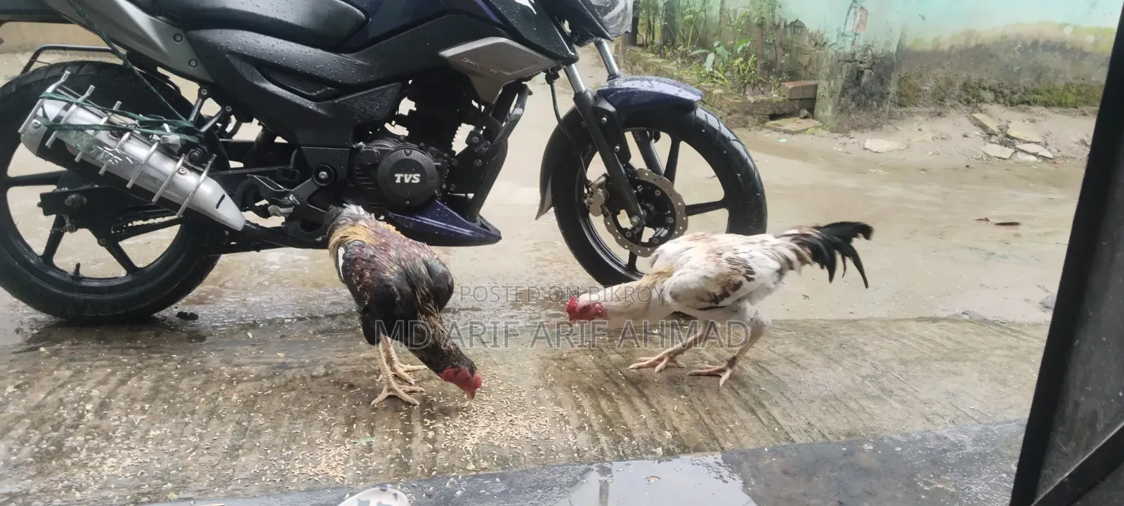 Surali Murug