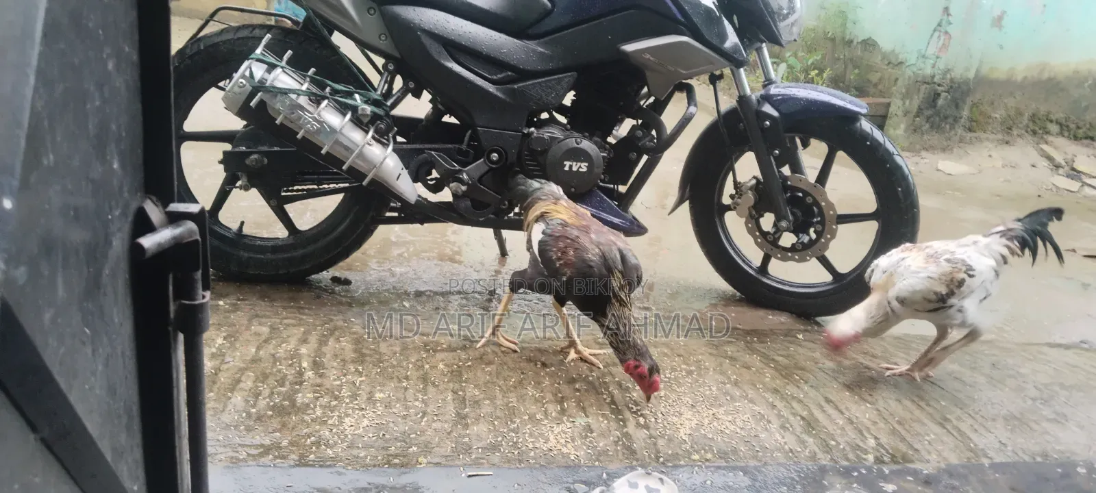 Surali Murug