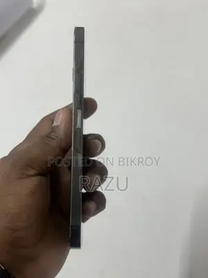Apple iPhone 12 Pro Max 256 GB Blue