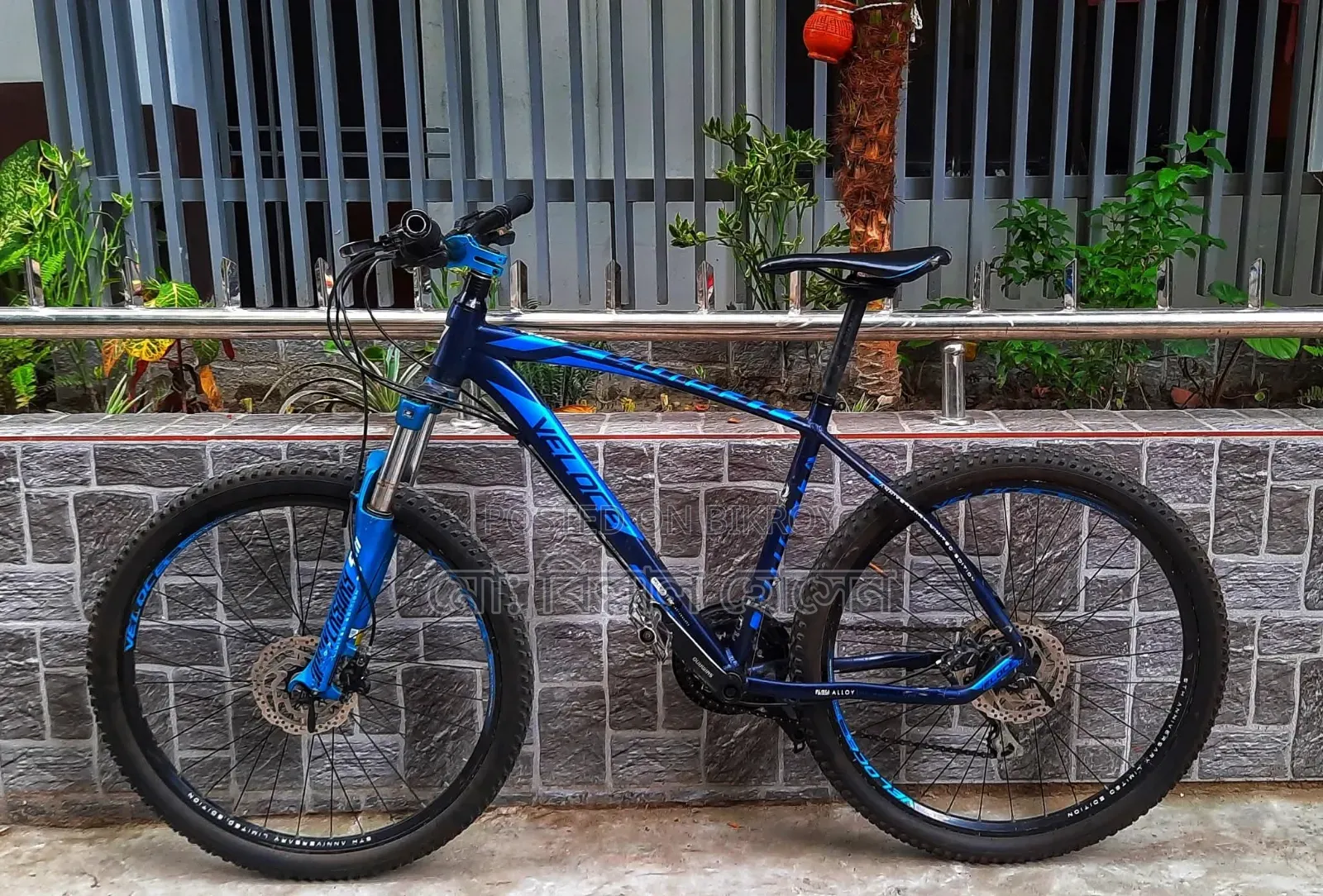 Veloce Legion 50