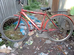 বুড়োদের ছাইকেল