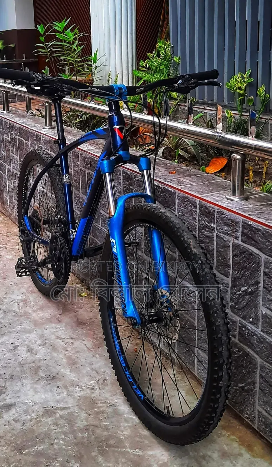 Veloce Legion 50