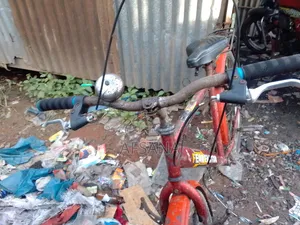 বুড়োদের ছাইকেল