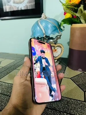 অ্যাপল আইফোন ১৬ প্রো ম্যাক্স ২৫৬ জিবি রোজ গোল্ড
