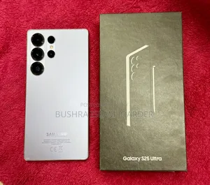 Samsung Galaxy S25 Ultra 256 GB Silver
