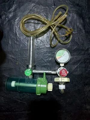 লিন্ডে মেডিকেল অক্সিজেন সিলিন্ডার সেট