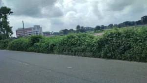 Land for Sale 14.50 Bigha Next to Main Road