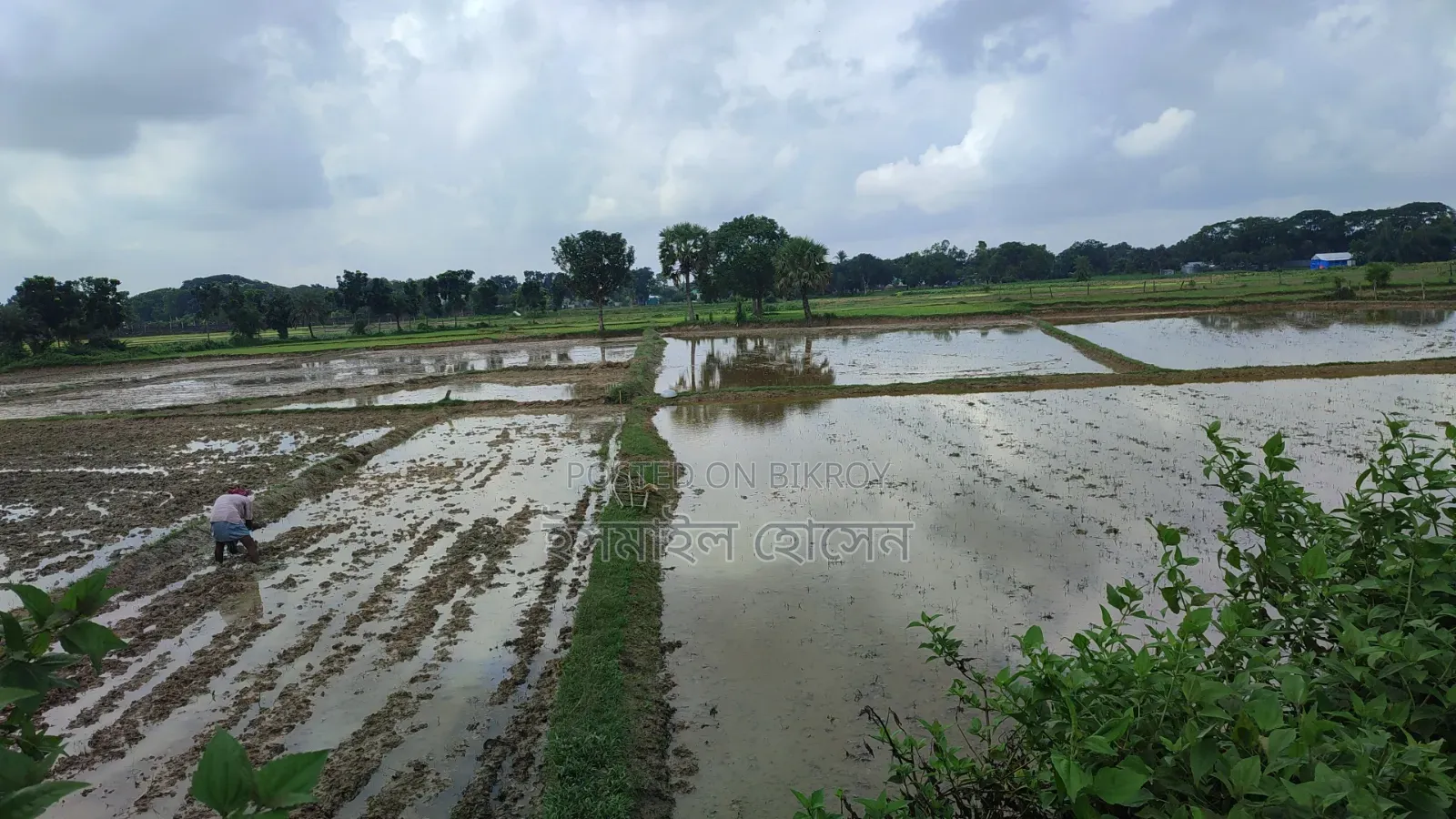 Land for Sale 14.50 Bigha Next to Main Road