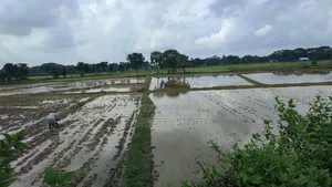 Land for Sale 14.50 Bigha Next to Main Road