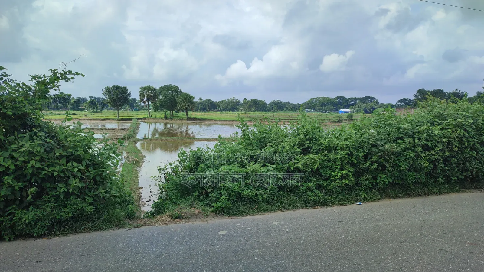 Land for Sale 14.50 Bigha Next to Main Road