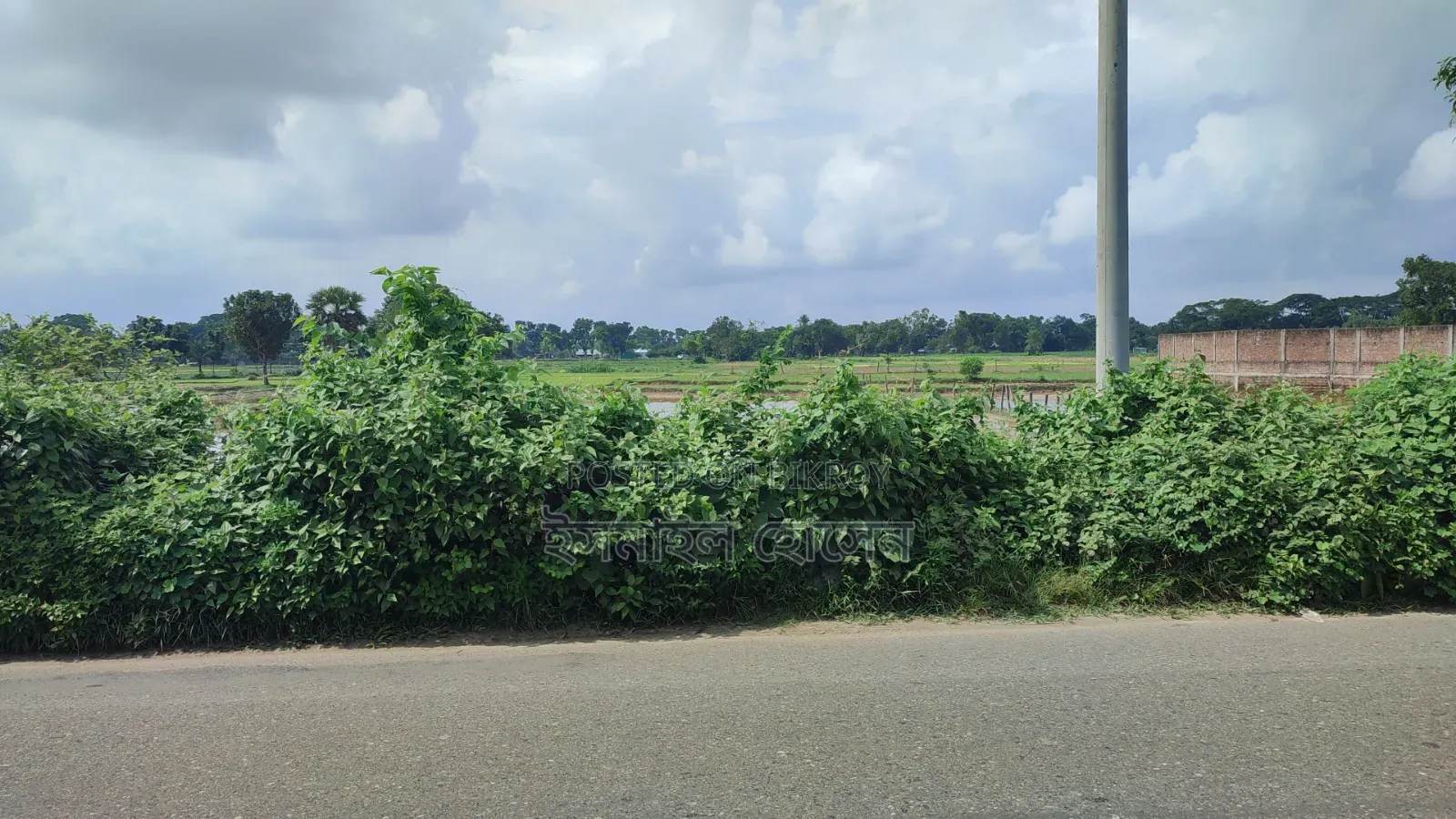 Land for Sale 14.50 Bigha Next to Main Road