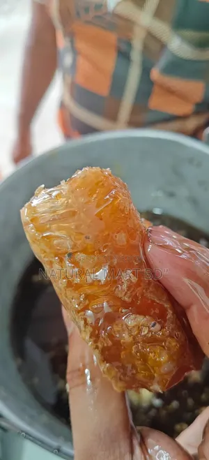 100% Pure Natural Little Bee Honey