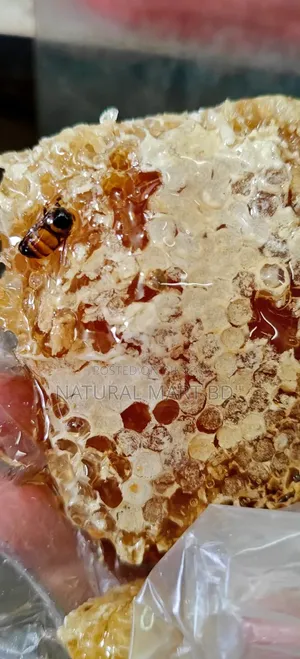 100% Pure Natural Little Bee Honey