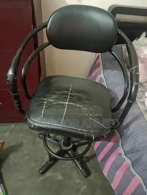 Beauty Parlor Chair