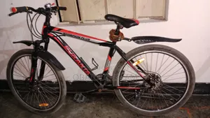 Duranta Bicycle