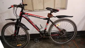 Duranta Bicycle