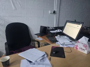 We Are Looking for Accountants (Women)