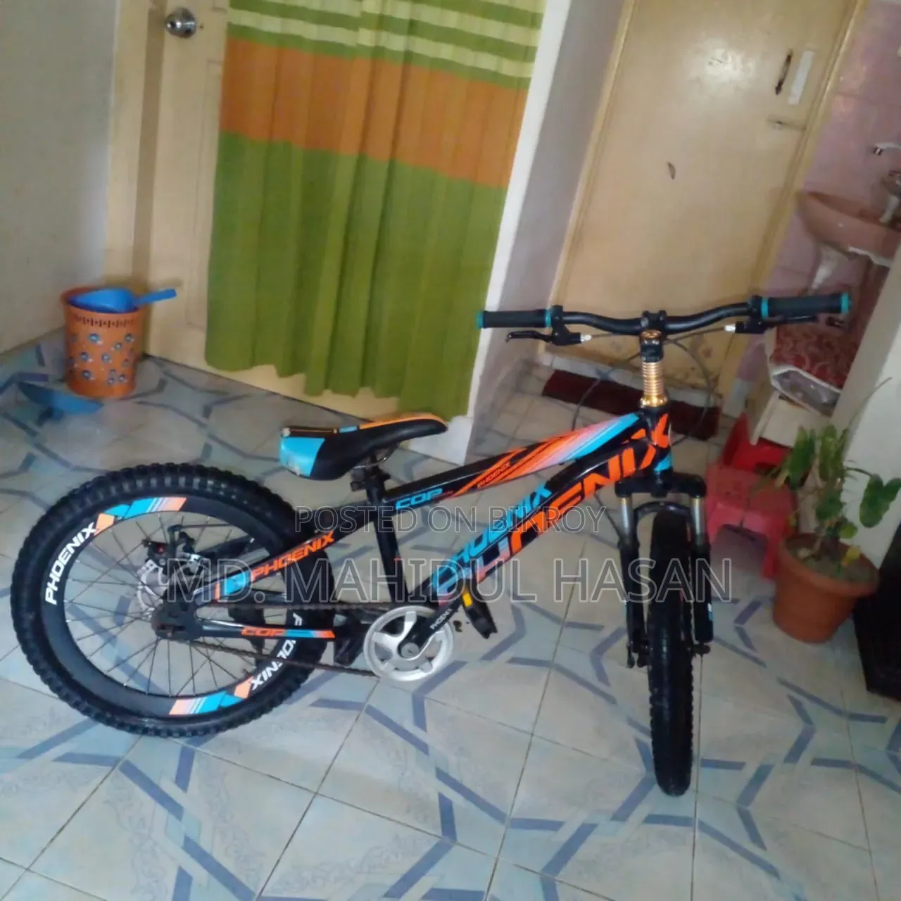 Phoenix Cycle