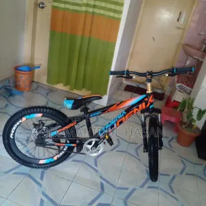 Phoenix Cycle