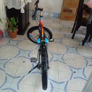 Phoenix Cycle