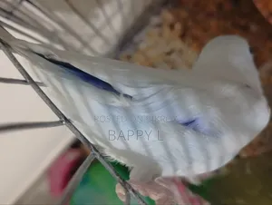 ফরপাস মেল এক্সচেঞ্জ