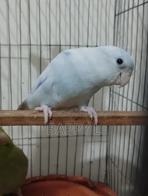 ফরপাস মেল এক্সচেঞ্জ